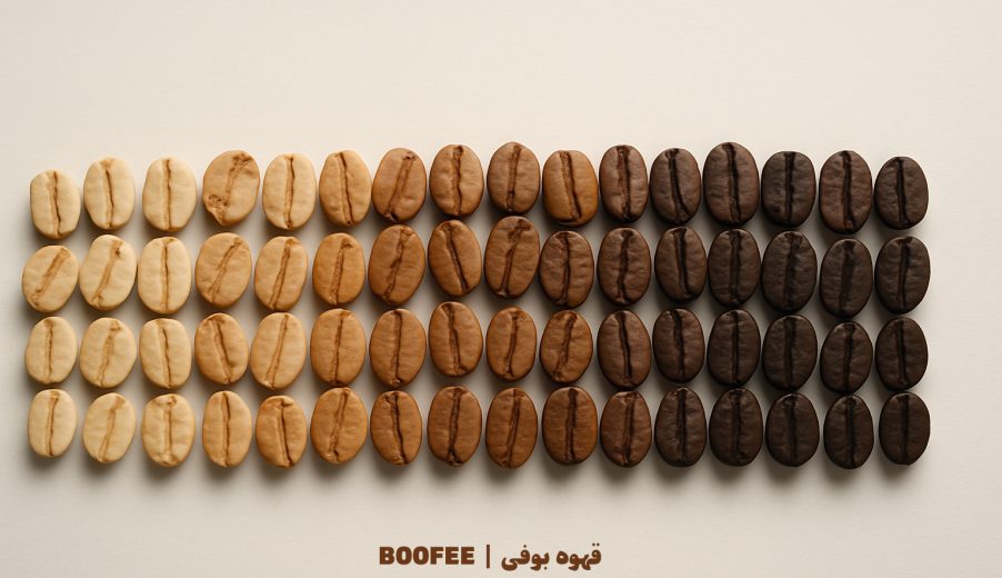 لایت رُست قهوه چیست؟ بررسی علمی تعریف، سوءبرداشت‌ها و مسیر استانداردسازی